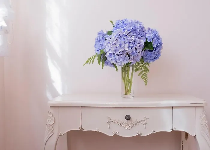 Casa Gurugu Villa Tacoronte